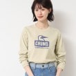 デッサン(レディース)(Dessin(Ladies))の◆CHUMS（チャムス）ブービーフェイスロングTシャツ9