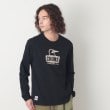 デッサン(メンズ)(Dessin(Men))の◆CHUMS（チャムス）ロングスリーブTシャツ ブラック(019)