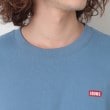 デッサン(メンズ)(Dessin(Men))の◆CHUMS（チャムス）ロングスリーブTシャツ12