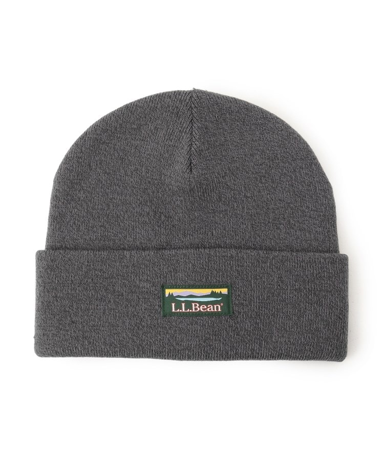 デッサン(メンズ)(Dessin(Men))の◆L.L.Bean（エルエルビーン） ニットキャップ チャコールグレー(013)