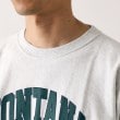 デッサン(メンズ)(Dessin(Men))の◆Champion（チャンピオン）ショートスリーブTシャツ14