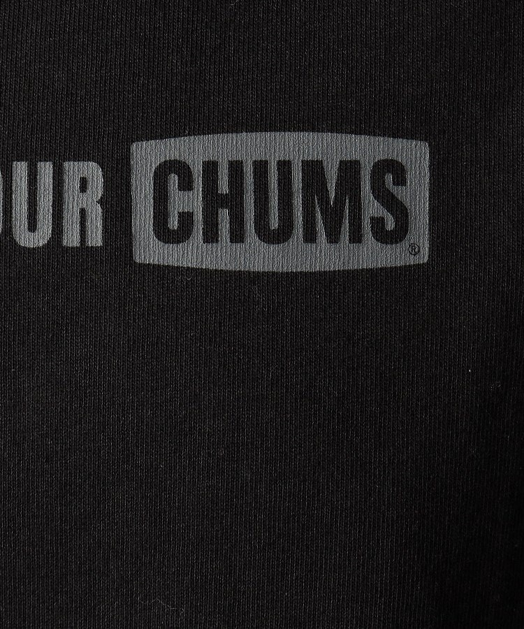 デッサン(メンズ)(Dessin(Men))の◆CHUMS（チャムス） Over Booby Tシャツ8