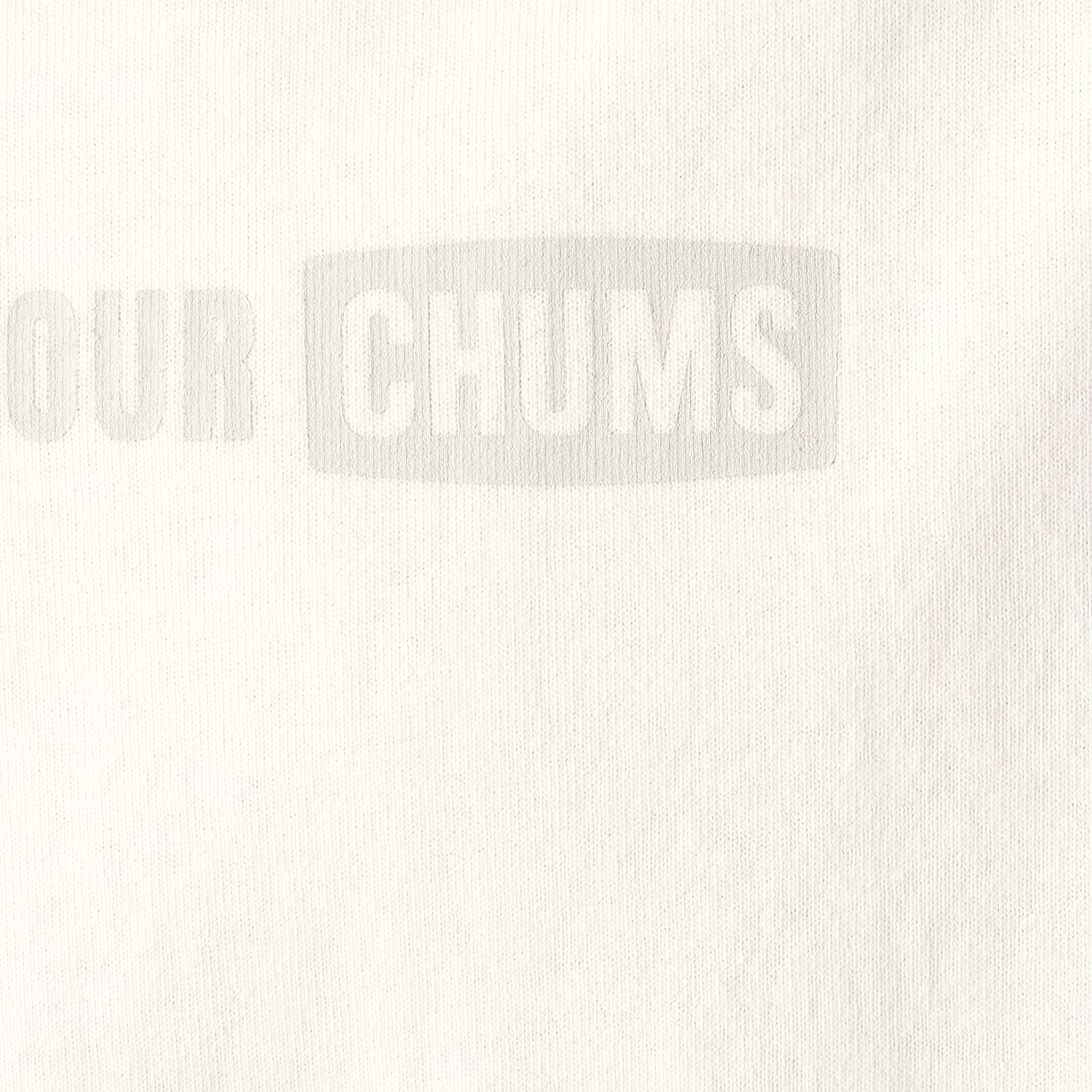 デッサン(メンズ)(Dessin(Men))の◆CHUMS（チャムス） Over Booby Tシャツ4