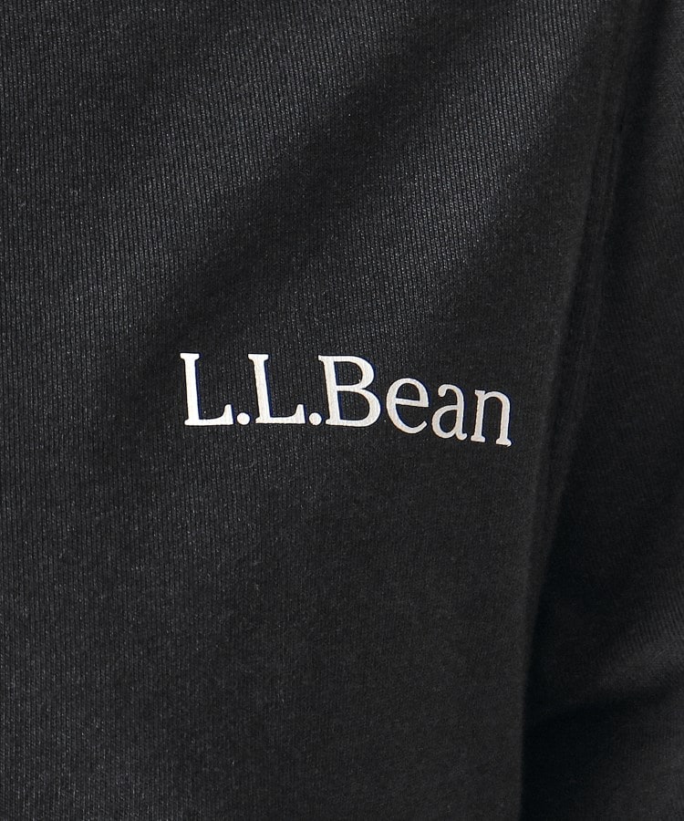 デッサン(メンズ)(Dessin(Men))の◆L．L．Bean（エルエルビーン）Tシャツ9