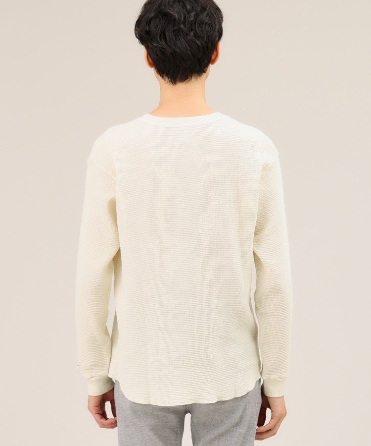 タケオキクチ(TAKEO KIKUCHI)の【ビワコットン】ビワッフルクルーネックT19