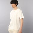 タケオキクチ(TAKEO KIKUCHI)の【ビワコットン】 レギュラーTシャツ12