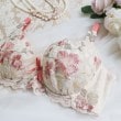 リサマリ(Risa Magli)のエリオット ブラジャー（E-F）＜D Make Type＞8