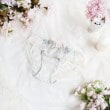 リサマリ(Risa Magli)のアレッタ ノーマルショーツ ミント(021)