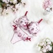 リサマリ(Risa Magli)のアレッタ Tバックショーツ5