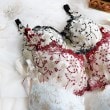 リサマリ(Risa Magli)のグレッタ ブラジャー（E-F）＜サイドシェイプ＞6