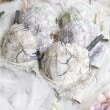 リサマリ(Risa Magli)のジェシカ ブラジャー（E-F）＜スウィートリッチ＞5