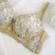 リサマリ(Risa Magli)のケリー ブラジャー12