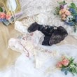 リサマリ(Risa Magli)のアイリィー レースショーツ12
