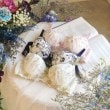 リサマリ(Risa Magli)のソア ブラジャー（E-F）＜スウィートリッチ＞27