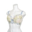 リサマリ(Risa Magli)のラリッサ ブラジャー（G-H）＜N Make Type＞18