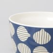 トゥーワントゥーキッチンストア(212 KITCHEN STORE)の保存容器M たまねぎ ＜かまわぬ＞6