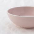 トゥーワントゥーキッチンストア(212 KITCHEN STORE)のエルサイク ボウル PK5