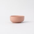 トゥーワントゥーキッチンストア(212 KITCHEN STORE)のsucsuc ボウル2Pセット PK3