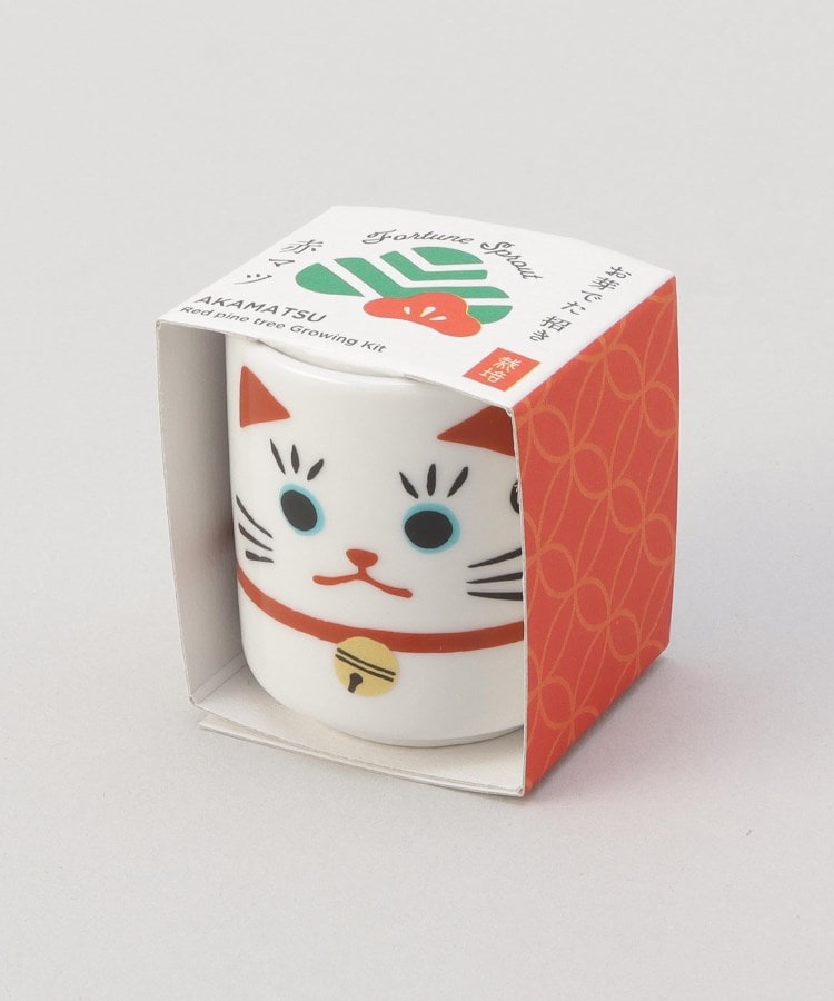 トゥーワントゥーキッチンストア(212 KITCHEN STORE)のおめでたおちょこ 招き猫 白6