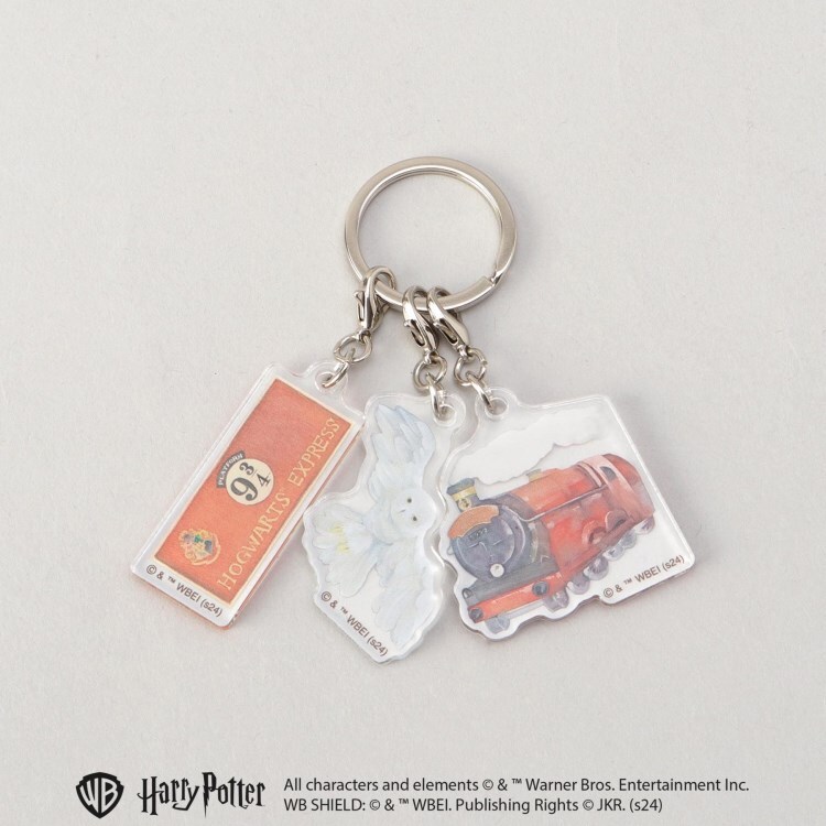トゥーワントゥーキッチンストア(212 KITCHEN STORE)の3連アクキー マジカルモーメント ＜Harry Potter ハリー・ポッター＞ スポットキャラクター