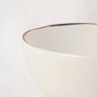 トゥーワントゥーキッチンストア(212 KITCHEN STORE)のROOTS プレーリー 13cmサラダボウル アルバートル5