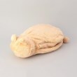 トゥーワントゥーキッチンストア(212 KITCHEN STORE)の蓄熱式 ねこ湯たんぽBR1