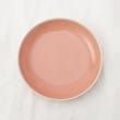 トゥーワントゥーキッチンストア(212 KITCHEN STORE)のシャイニカラー プレート L PK3