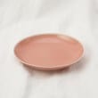 トゥーワントゥーキッチンストア(212 KITCHEN STORE)のシャイニカラー プレート L PK その他