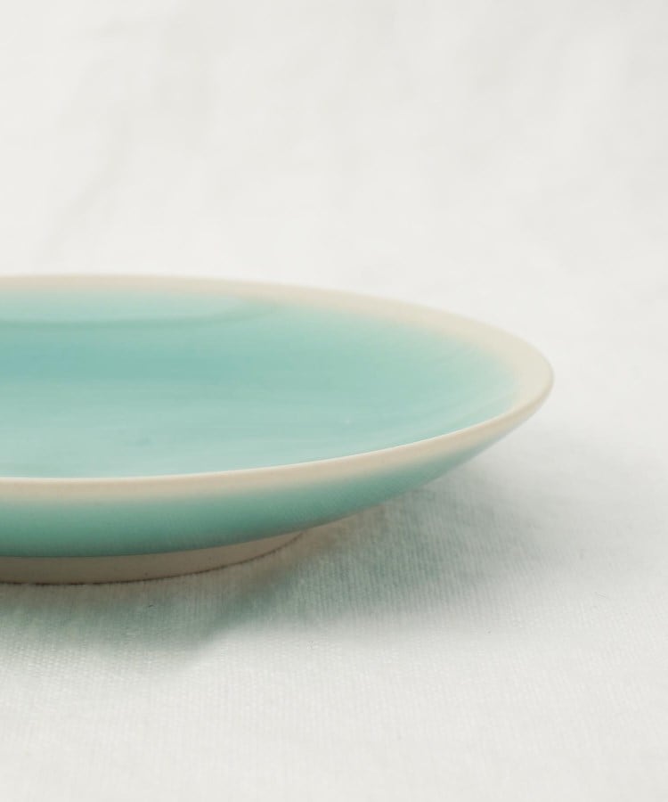 トゥーワントゥーキッチンストア(212 KITCHEN STORE)のシャイニカラー プレート S LBL5