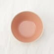トゥーワントゥーキッチンストア(212 KITCHEN STORE)のシャイニカラー ボウル PK3