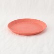 トゥーワントゥーキッチンストア(212 KITCHEN STORE)のCONNECT プレート 205mm PK ＜KOZIOL コジオル＞ その他