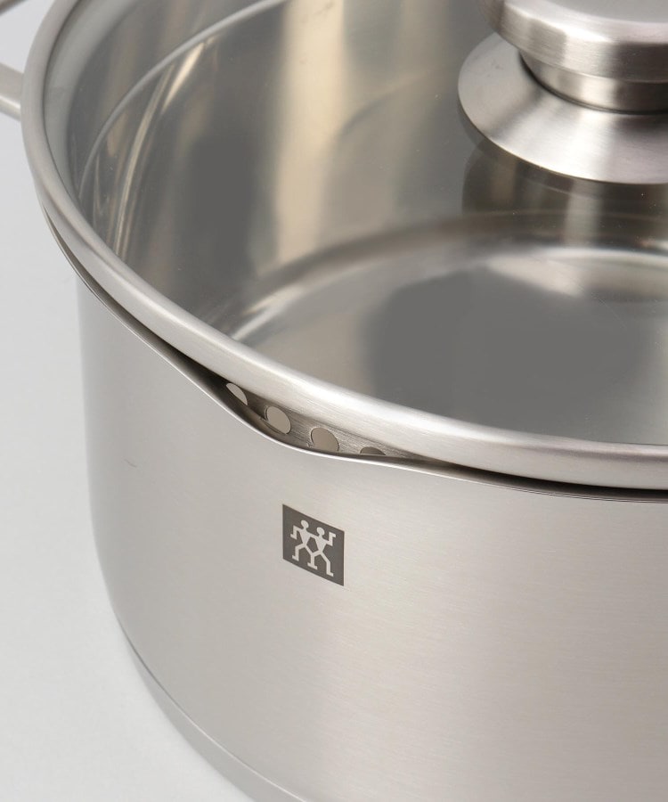 ポーリスティックシチューポット 20cm 蓋付 <ZWILLING ポーリスティックシチューポット 20cm 蓋付 <ZWILLING