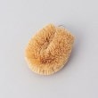 トゥーワントゥーキッチンストア(212 KITCHEN STORE)の◆パームチビッコ WH ＜亀の子束子 ＞2