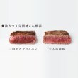 トゥーワントゥーキッチンストア(212 KITCHEN STORE)の大人の鉄板 鉄板大 角蓋付き13