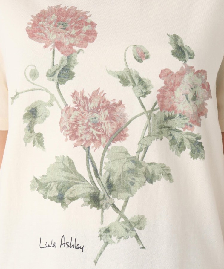 ローラアシュレイ(LAURA ASHLEY)の◆【洗える】ヘップワース柄　パネルプリントTシャツ6