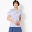 ローラアシュレイ(LAURA ASHLEY)の【洗える】プリント ドルマンTシャツ ブルー(192)