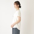 ローラアシュレイ(LAURA ASHLEY)の【大人気！接触冷感/4color/Lサイズあり】バンバリー柄 プリントTシャツ18