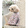 ローラアシュレイホーム(LAURA ASHLEY HOME)のドッグウエア ホワイト(102)