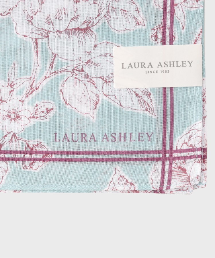 ローラアシュレイホーム(LAURA ASHLEY HOME)のポリントンローゼズ柄 プリントハンカチ4