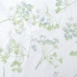 ローラアシュレイホーム(LAURA ASHLEY HOME)の【セミダブル】エイボンブリー柄 フィットシーツ5
