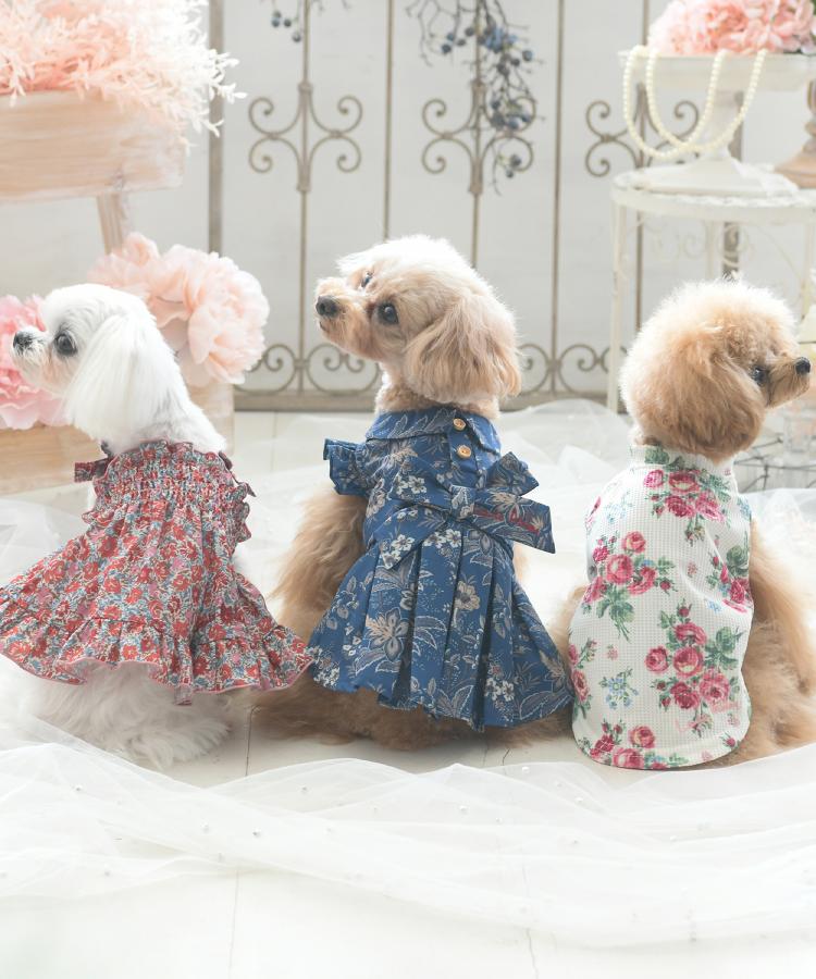 ローラアシュレイホーム(LAURA ASHLEY HOME)のマーブルック柄 ドッグウエア12
