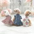 ローラアシュレイホーム(LAURA ASHLEY HOME)のマーブルック柄 ドッグウエア12