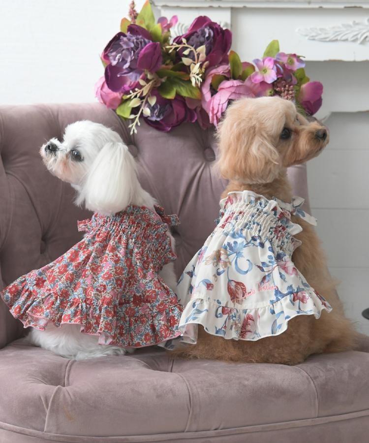 ローラアシュレイホーム(LAURA ASHLEY HOME)のローザリンド柄 ドッグウエア9