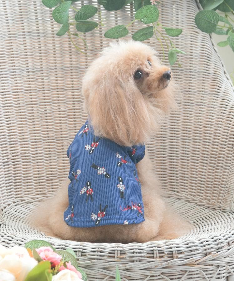 VintageSoldier（ヴィンテージソルジャー）｜Laura Ashley
