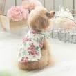ローラアシュレイホーム(LAURA ASHLEY HOME)のバンチェッド ロージズ柄 ドッグウエア8
