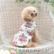 ローラアシュレイホーム(LAURA ASHLEY HOME)のバンチェッド ロージズ柄 ドッグウエア レッド(162)