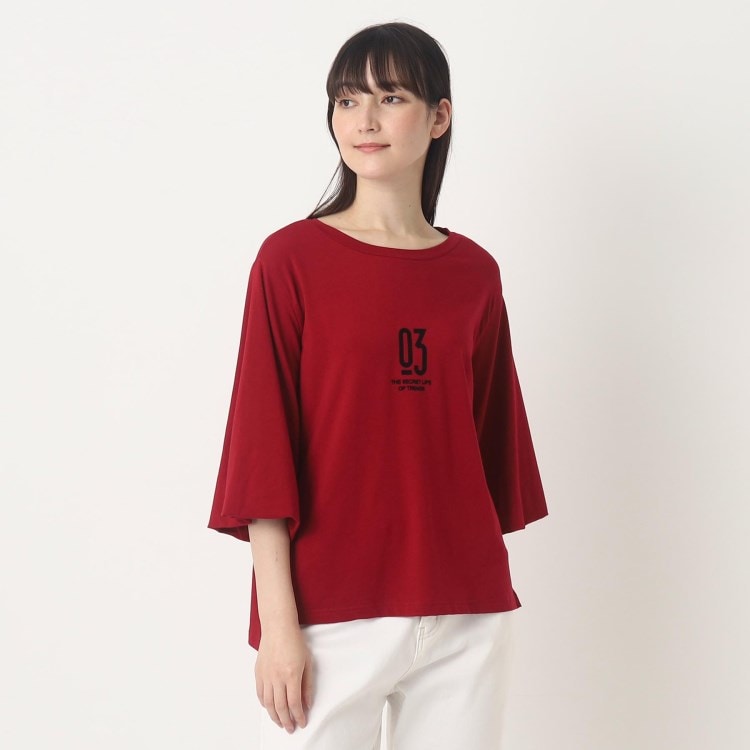 ザンパ(ZAMPA)の【春も着られる】フロッキープリントバルーンスリーブTシャツ Ｔシャツ
