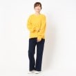 ザンパ(ZAMPA)のソフトシャギーパフスリーブニット18