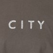 ザンパ(ZAMPA)のビックシルエットスパンコールロゴTシャツ19