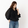 ザンパ(ZAMPA)の【春も着られる】シアーオフショル2WAYブラウス ブラック(019)